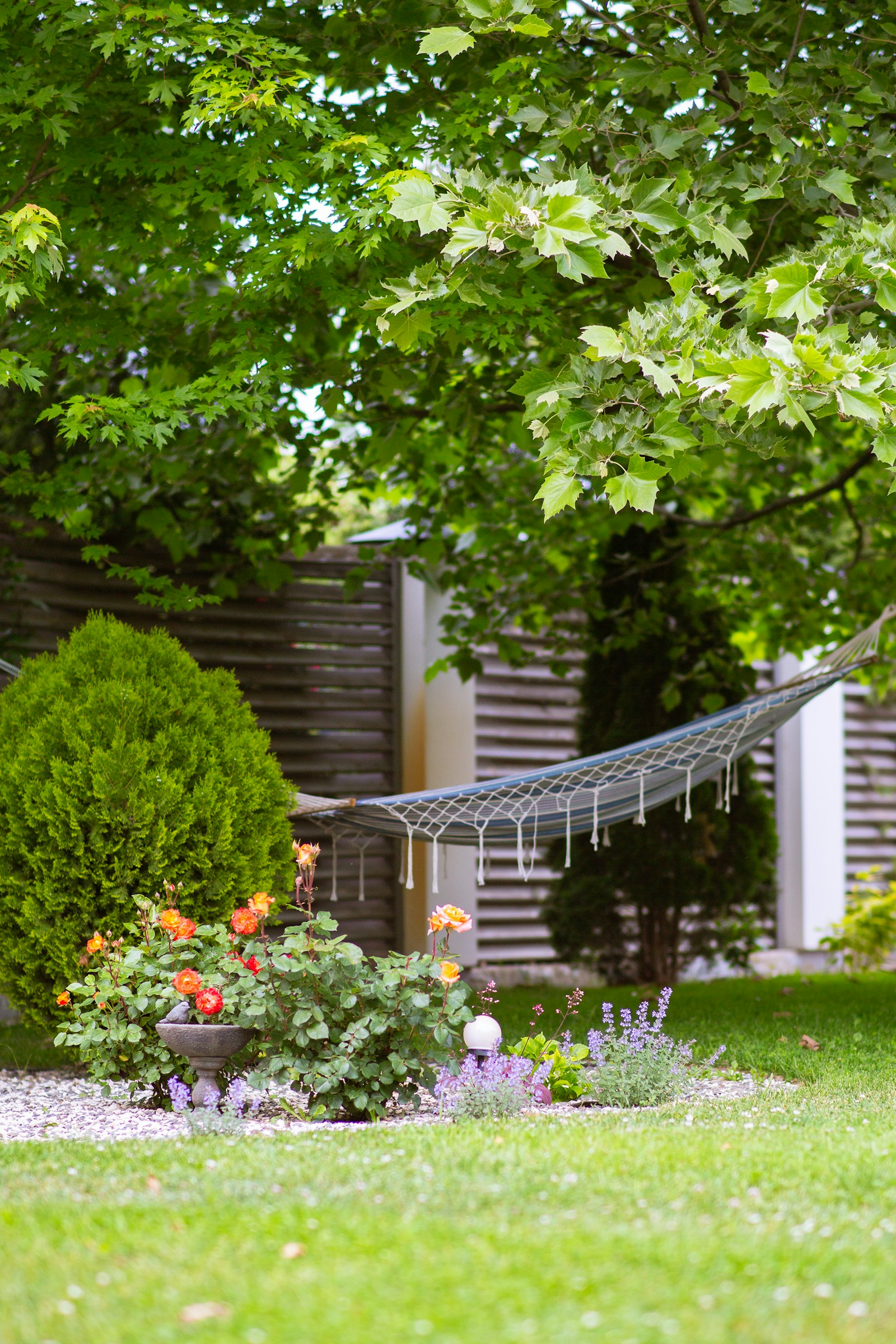 A woven hammock hanging in a green backyard garden